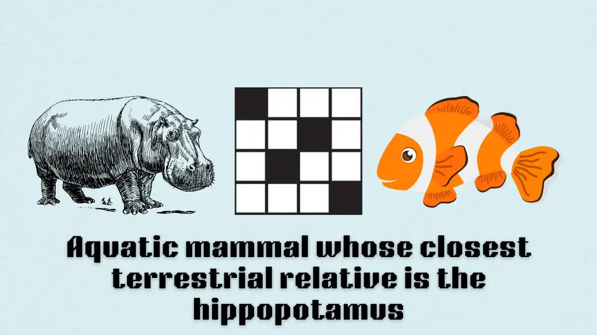 ‘Aquatic mammal whose closest terrestrial relative is the hippopotamus’ NYT Mini Crossword clue answer and hints