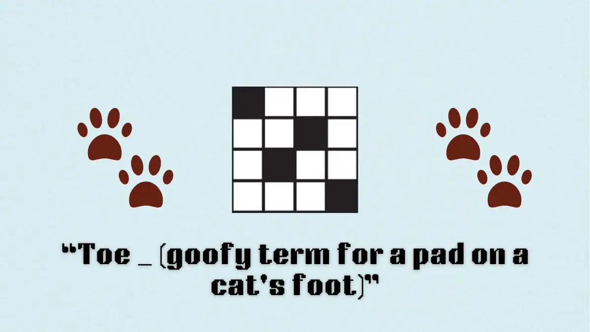 ‘Toe _ (goofy term for a pad on a cat’s foot)’ NYT Mini Crossword puzzle clue answer and hints