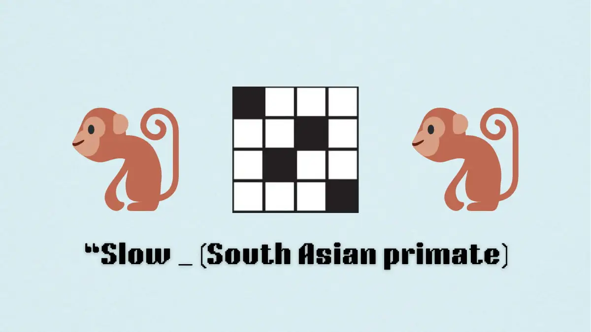 ‘Slow _ (South Asian primate)’ NYT Mini Crossword puzzle clue answer and hints