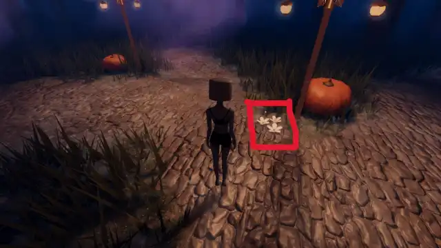 Picture showing the white flowers to follow to reach Lana’s Childhood Home in Halloween Lana Lore quest in Dress To Impress