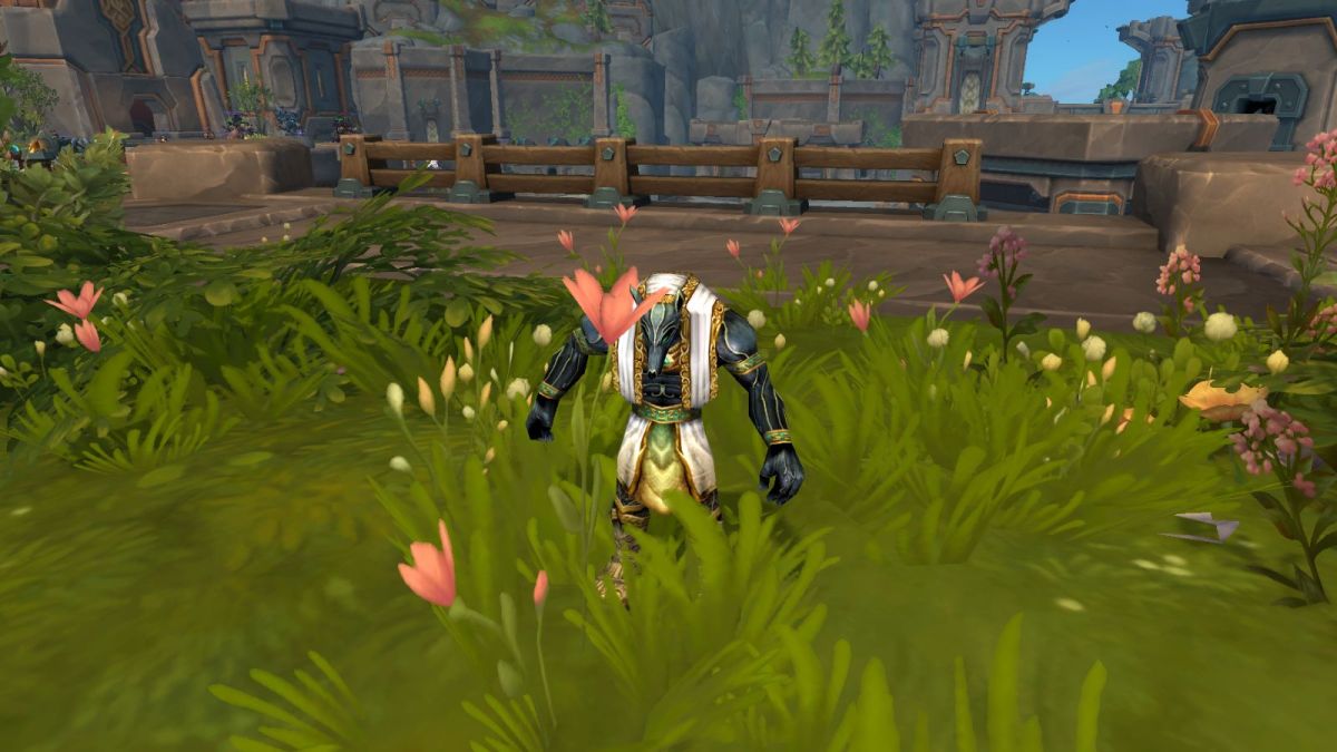 Battle pet in World of Warcraft.