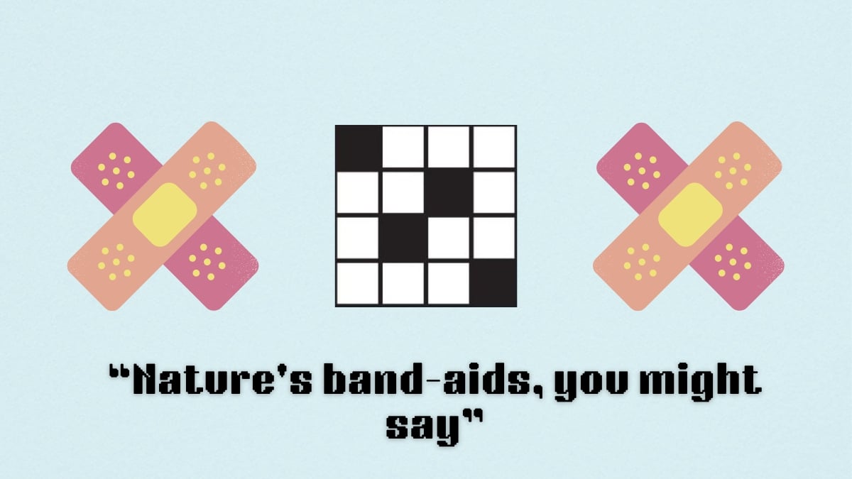 Two lots of bandaids above the clue nature's bandaid from the NYT Mini Crossword puzzle