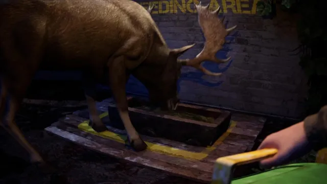 A non-mutant moose eating out of a trough