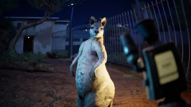 A non-mutant wallaby standing upright