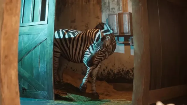 A non-mutant zebra emerging from inside an enclosure