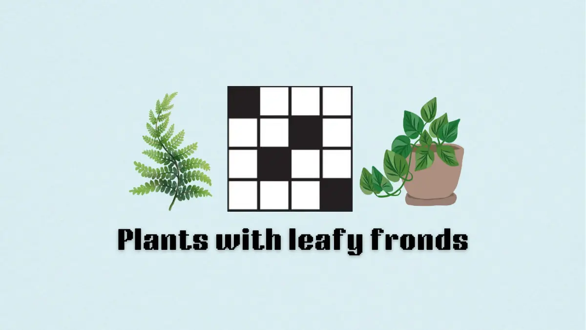 ‘Plants with leafy fronds’ NYT Mini Crossword clue answer and hints