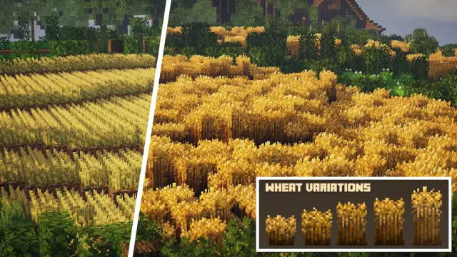 Wheat in regular Minecraft versus wheat in the Stay True pack.