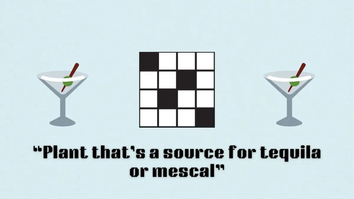 ‘Plant that’s a source for tequila or mescal’ NYT Mini Crossword puzzle clues answer and hints