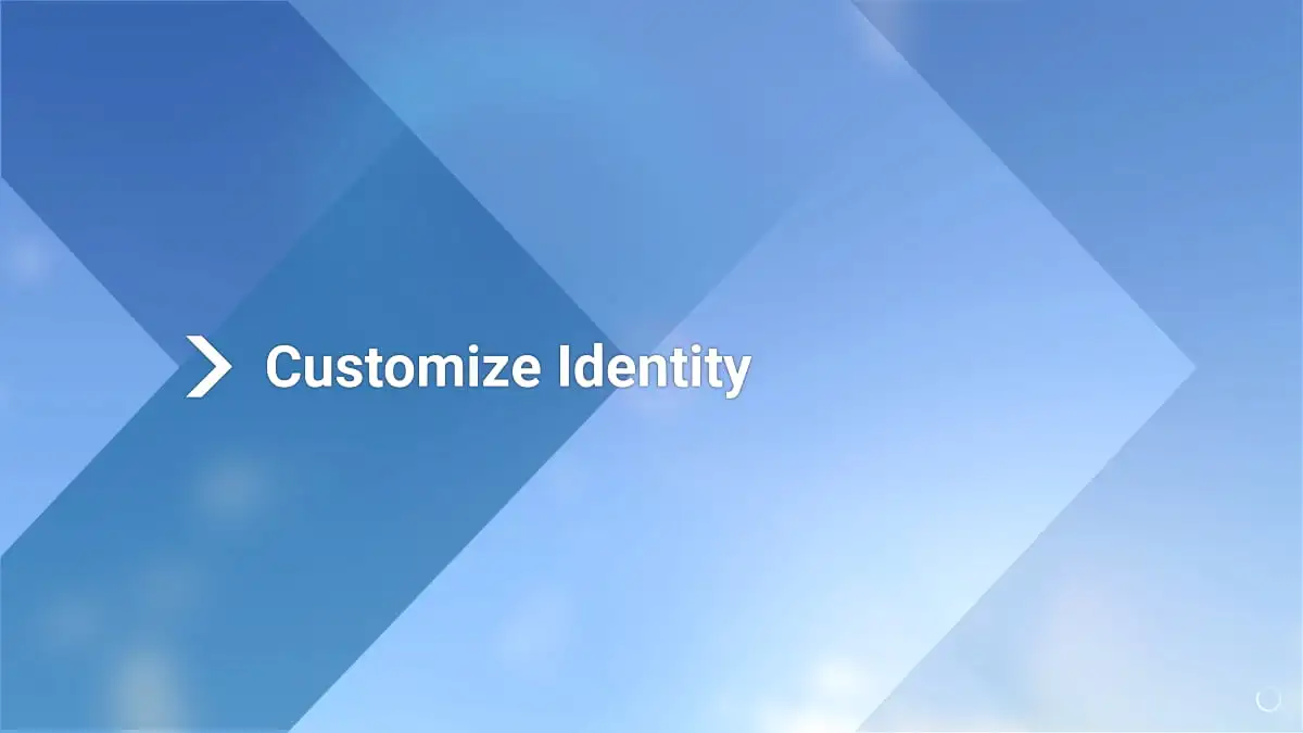 How to fix Microsoft Flight Simulator 2024 ‘Customize identity’ error