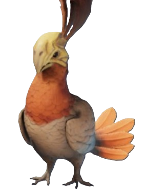 A dodo bird-like creature with orange and beige feathers from Enshrouded. This shows readers what the Flightless Redtail looks like.