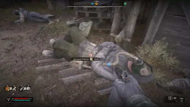 Wounded stalker on ground