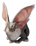 A hophare, a bunny-like creature with 4 massive ears, in Enshrouded