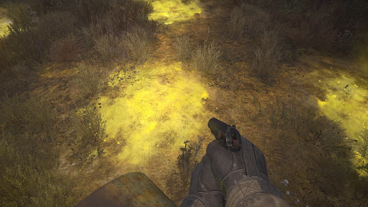 Staring at a pile of acid with a pistol in STALKER 2