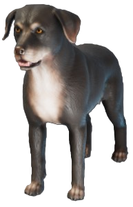 A screenshot of a dark brown dog with white on its chest and muzzle. This is Ikko from Enshrouded.