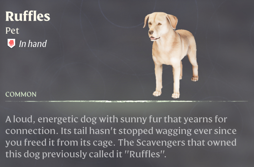 This screenshot from Enshrouded shows readers what a tamable dog looks like as well as its description.