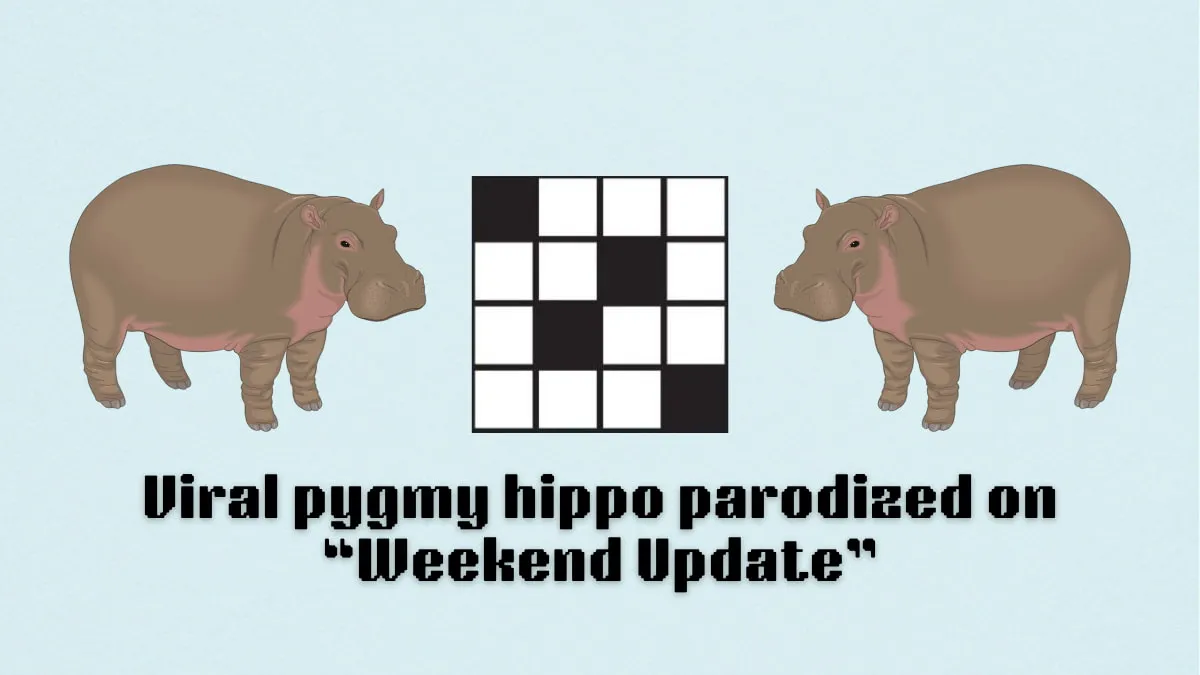 ‘Viral pygmy hippo parodized on Weekend Update’ NYT Mini Crossword puzzle clues answer and hints