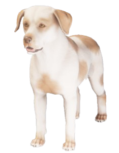 A dog from Enshrouded. It's white with beige spots across its entire body.