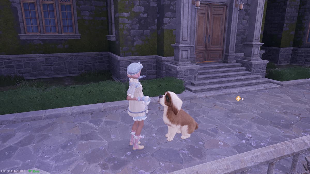 Nikki grooming a big fluffy dog in infinite nikki