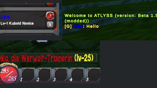 Examples of names you can keep after installing the AllowAnyNames mod