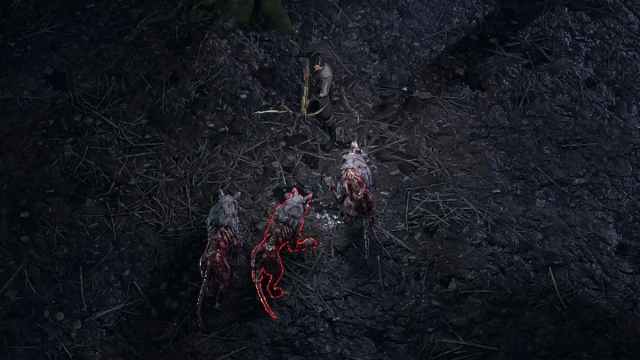 A man holding a crossbow standing in front of a pack of zombified and rotting wolves in Path of Exile 2.