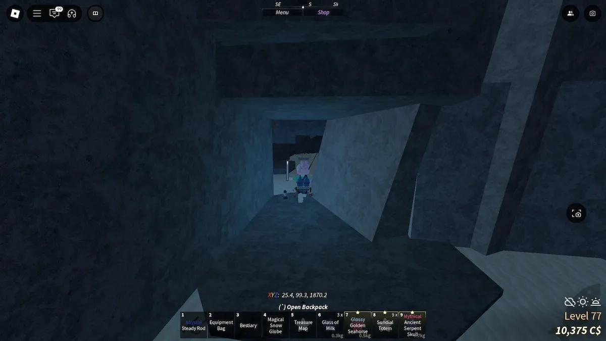 The cave to find the Tempest Totem in Roblox Fisch. 