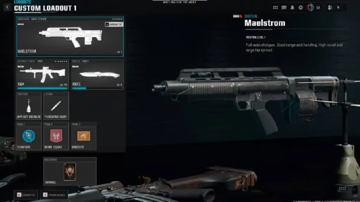 Maelstrom best loadout, perks and secondary guns