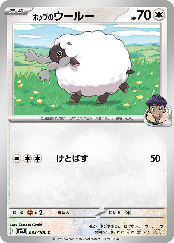 Hop's Wooloo from Japanese Battle Partners set