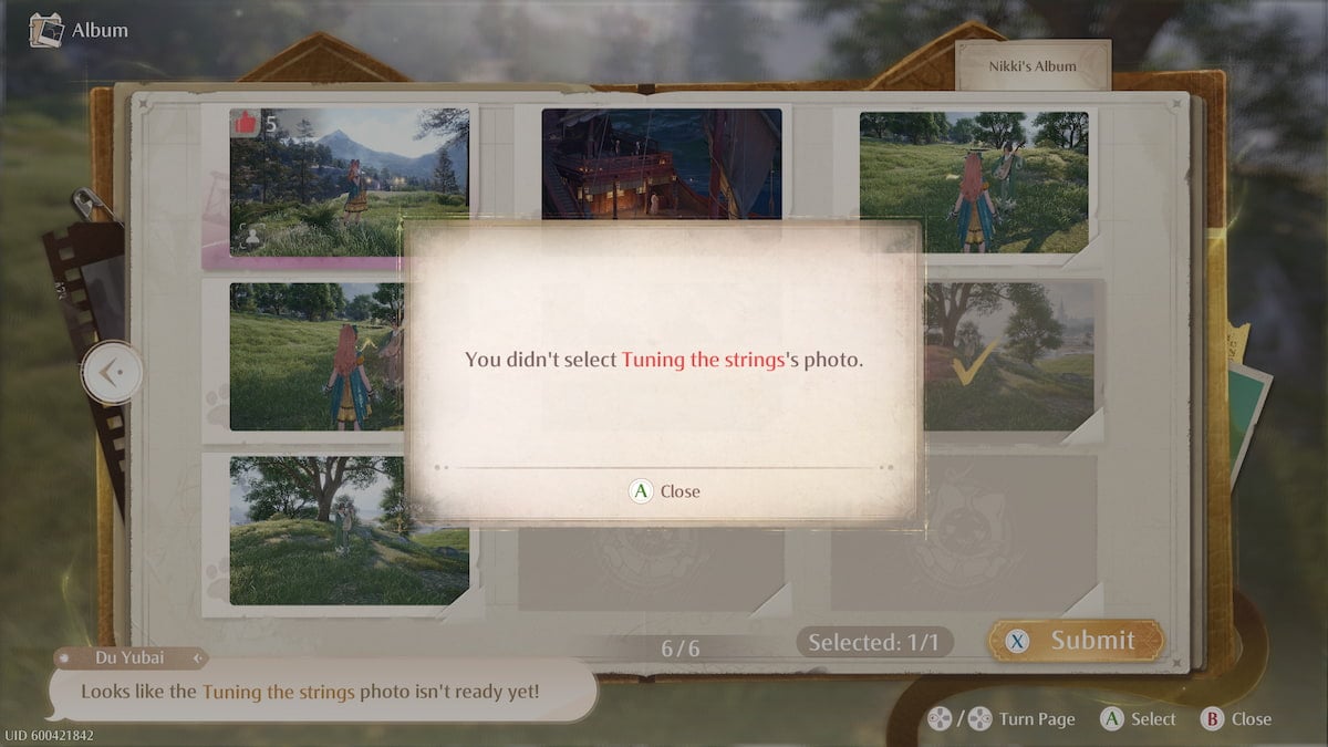 error screen after taking a photo in infinity nikki