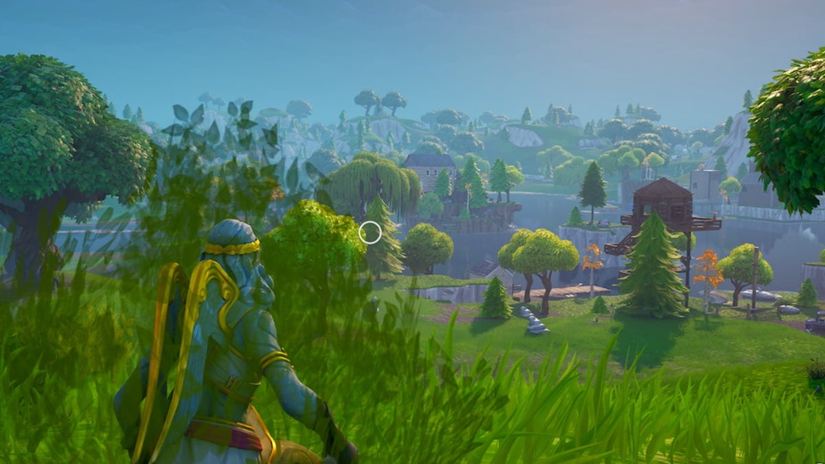 stoneheart in a nush in fortnite og overlooking the ladscape