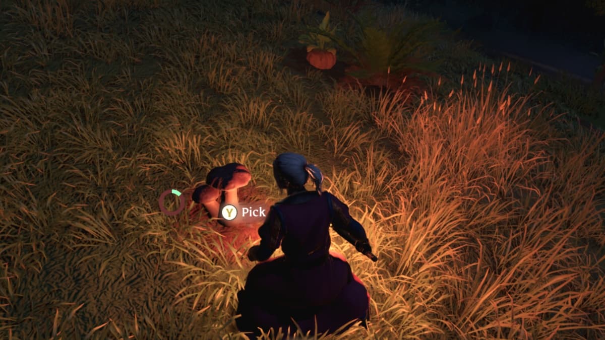 character finding a red mushroom in the grass at night