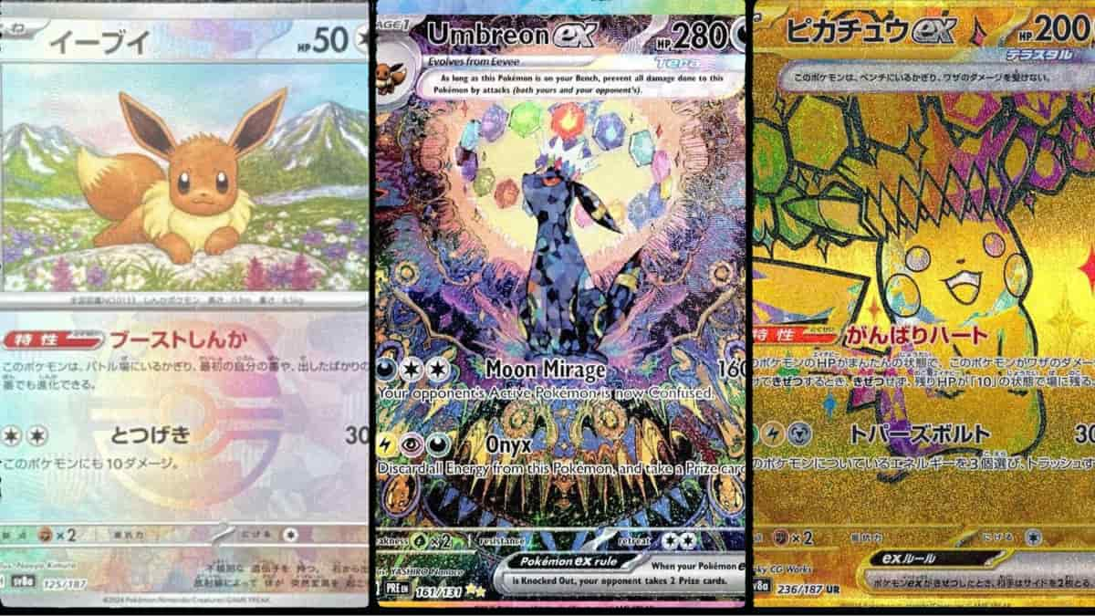 A Masterball Eevee, Umbreon ex, and Gold Pikachu ex from Terastal Festival and Prismatic Evolutions