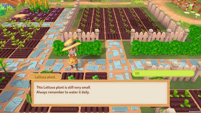 Looking after a lettuce plant in Sugardew Island.