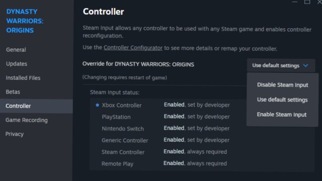 Enable and Disable steam input and default settings for dynasty warriors origins