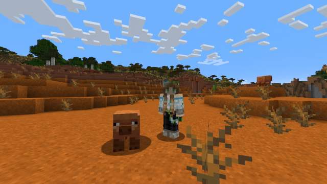 A player standing in a badlands biome by a Warm Pig in Minecraft.