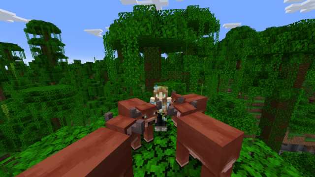 A player standing on a jungle tree with four warm cows circled around them in Minecraft.