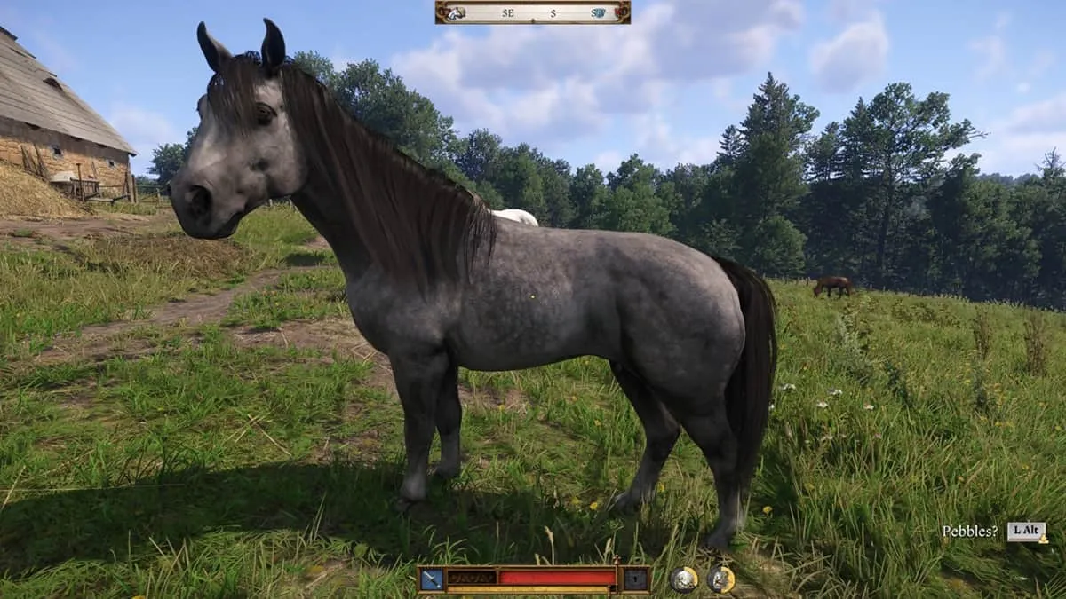 Pebbles the grey mare standing in a grassy field in Kingdom Come Deliverance 2