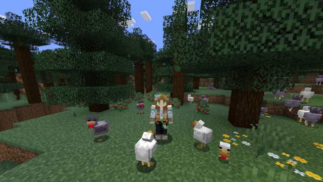 Cold and classic chickens gathered in a forest by a player in Minecraft.