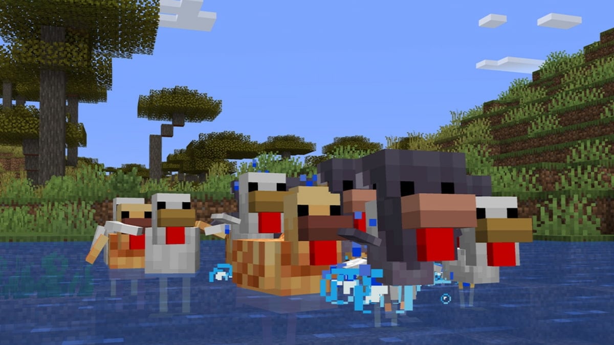 A group of Classic Chickens, Warn Chickens, and Cold Chickens swimming through water in Minecraft.