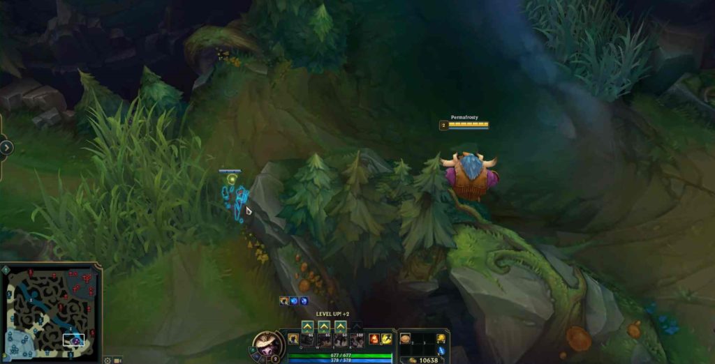 A ward in the bot lane brush in League of Legends. Alistar stands next to it.