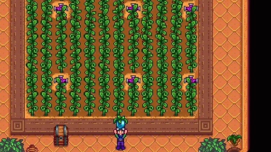 A player holding up an ancient fruit in Stardew valley
