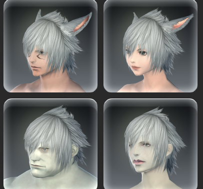 Check Unique Hairstyles in FFXIV
